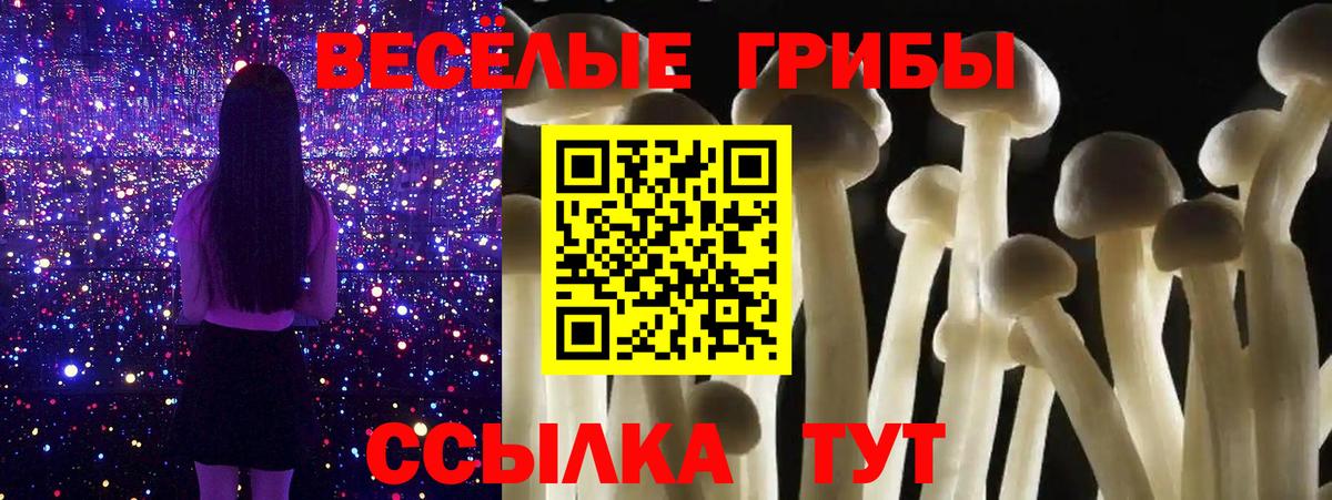 Галлюциногенные грибы MAGIC MUSHROOMS  наркошоп  Галлюциногенные грибы MAGIC MUSHROOMS  Касимов  Вход с VPN 