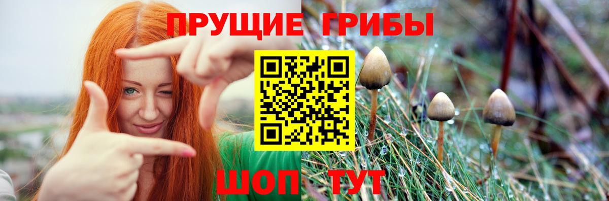 Псилоцибиновые грибы прущие грибы Касимов